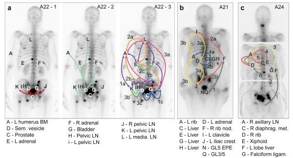 https://cdn.ncbi.nlm.nih.gov/pmc/blobs/4b7f/4413032/e2cb4e0ffbdf/emss-62345-f0003.jpg