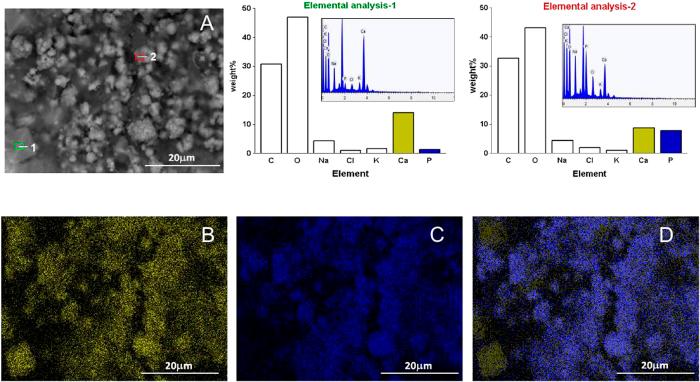 https://cdn.ncbi.nlm.nih.gov/pmc/blobs/4b80/4568470/3864182017b8/srep13856-f3.jpg