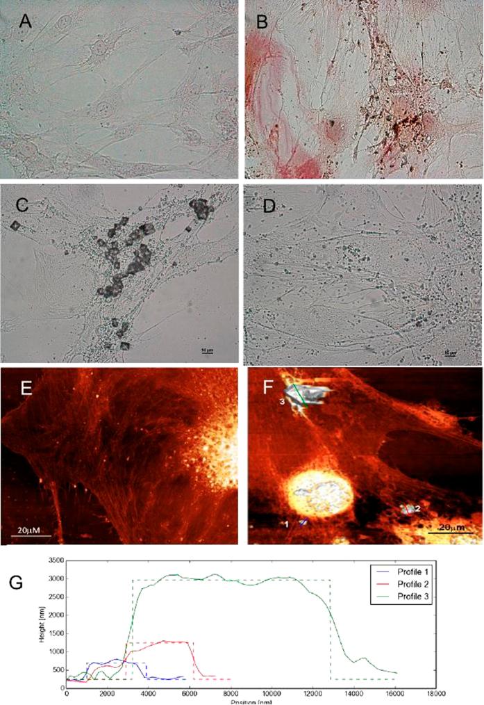 https://cdn.ncbi.nlm.nih.gov/pmc/blobs/4b80/4568470/8a561e1a04d3/srep13856-f2.jpg