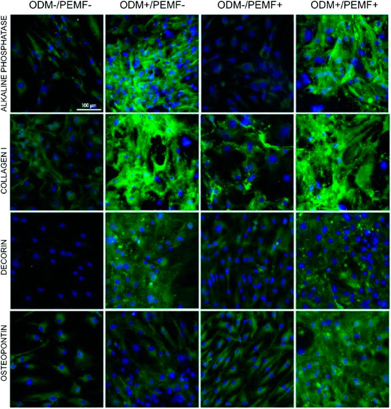 https://cdn.ncbi.nlm.nih.gov/pmc/blobs/4b80/4568470/b25de1a94687/srep13856-f6.jpg