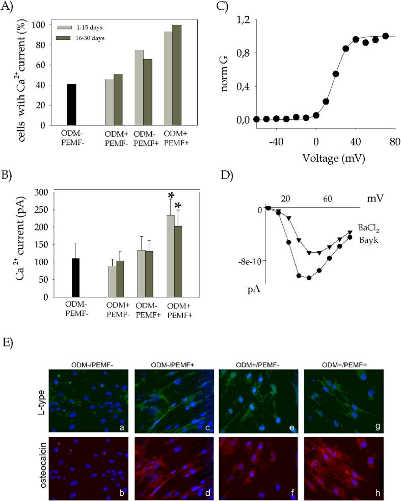 https://cdn.ncbi.nlm.nih.gov/pmc/blobs/4b80/4568470/c1e5a54bb3bc/srep13856-f5.jpg