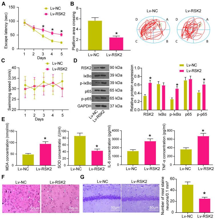 https://cdn.ncbi.nlm.nih.gov/pmc/blobs/4b80/7898207/7a6201f85d38/NDT-17-533-g0006.jpg