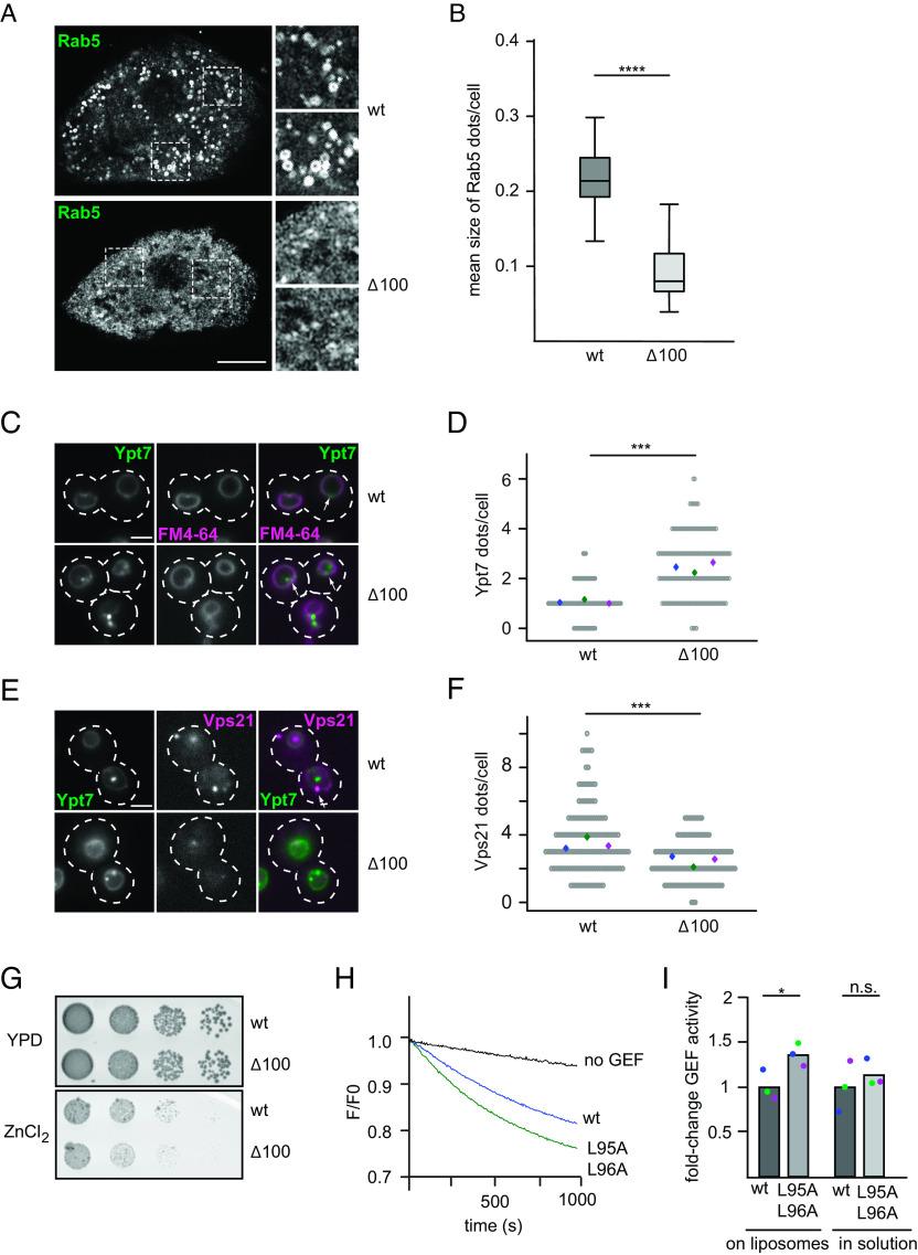 https://cdn.ncbi.nlm.nih.gov/pmc/blobs/4b81/10372576/52300d3e6fec/pnas.2303750120fig02.jpg