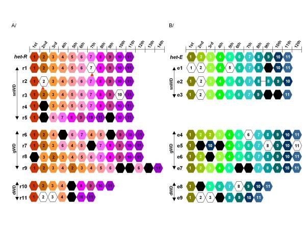 https://cdn.ncbi.nlm.nih.gov/pmc/blobs/4b82/2873952/7eb7f29a834f/1471-2148-10-134-4.jpg