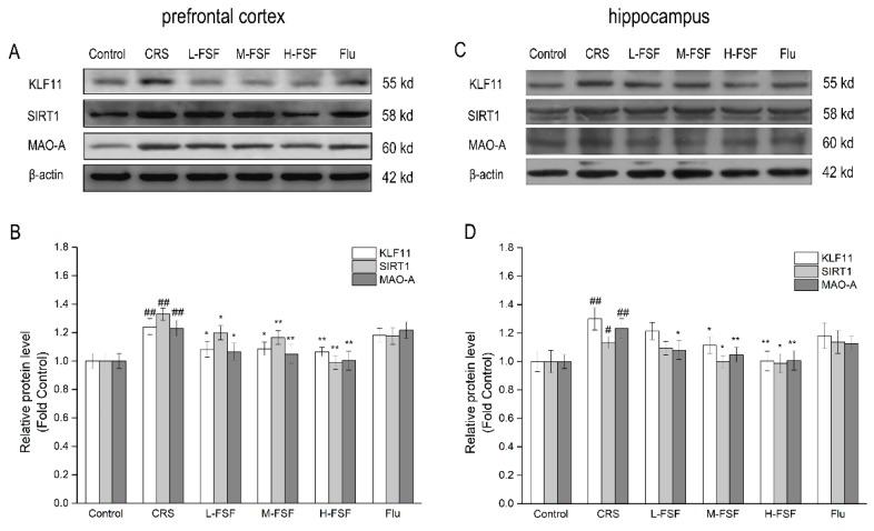 https://cdn.ncbi.nlm.nih.gov/pmc/blobs/4b82/6471463/3d464167a85f/molecules-24-01105-g010.jpg