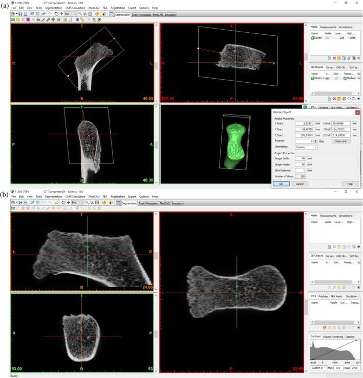 https://cdn.ncbi.nlm.nih.gov/pmc/blobs/4b83/12239709/0cfa142b6b3e/AR-308-2212-g001.jpg