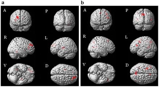 https://cdn.ncbi.nlm.nih.gov/pmc/blobs/4b86/2928271/36280fc07958/pone.0012291.g001.jpg