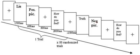 https://cdn.ncbi.nlm.nih.gov/pmc/blobs/4b86/2928271/7aefa1cd66fb/pone.0012291.g005.jpg