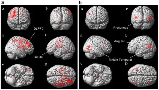 https://cdn.ncbi.nlm.nih.gov/pmc/blobs/4b86/2928271/7e30e0e600de/pone.0012291.g003.jpg