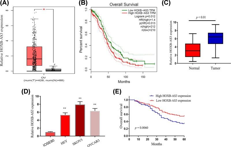 https://cdn.ncbi.nlm.nih.gov/pmc/blobs/4b86/6680375/04d126bad621/bsr-39-bsr20190906-g1.jpg