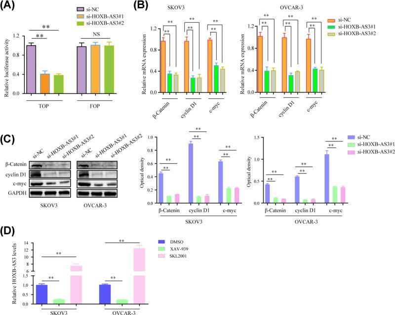 https://cdn.ncbi.nlm.nih.gov/pmc/blobs/4b86/6680375/371e9f40f5de/bsr-39-bsr20190906-g4.jpg