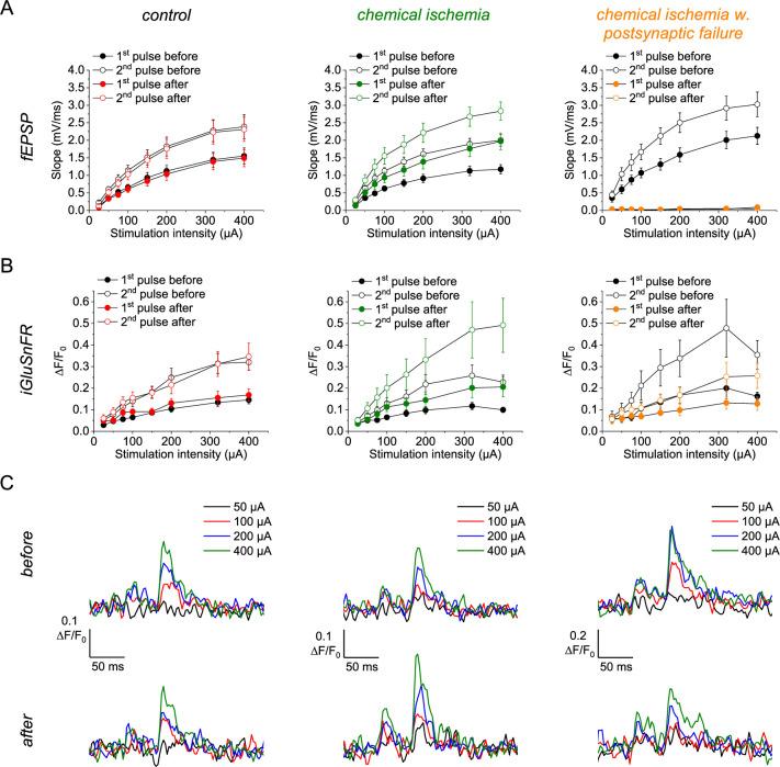 https://cdn.ncbi.nlm.nih.gov/pmc/blobs/4b87/11407764/8cb2d84a07b6/elife-98834-fig2-figsupp1.jpg