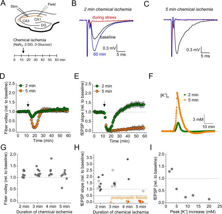 https://cdn.ncbi.nlm.nih.gov/pmc/blobs/4b87/11407764/bc165caf66ad/elife-98834-fig1.jpg