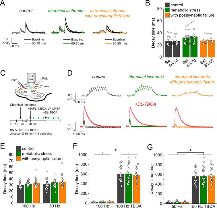 https://cdn.ncbi.nlm.nih.gov/pmc/blobs/4b87/11407764/e2523ac01408/elife-98834-fig3.jpg