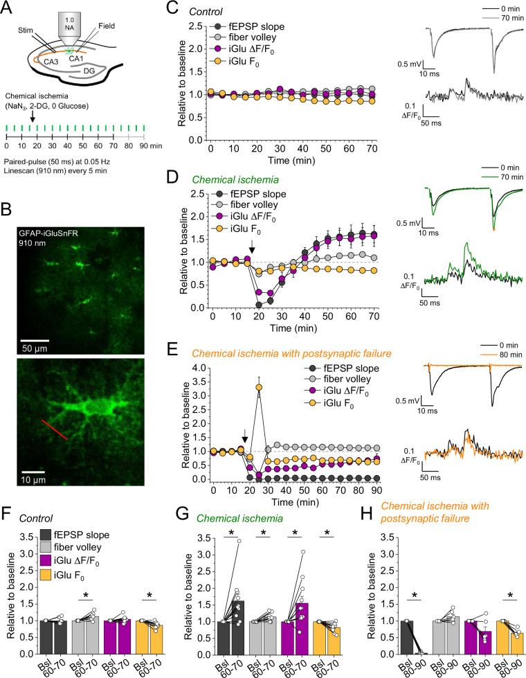 https://cdn.ncbi.nlm.nih.gov/pmc/blobs/4b87/11407764/ed59924e01df/elife-98834-fig2.jpg