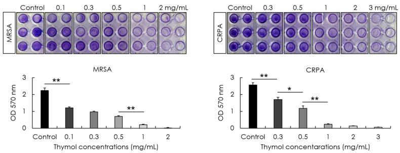 https://cdn.ncbi.nlm.nih.gov/pmc/blobs/4b87/9505391/0f417a07d959/microorganisms-10-01867-g003.jpg