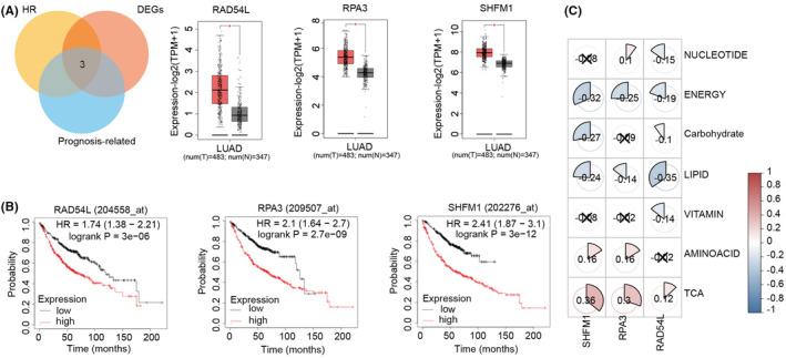 https://cdn.ncbi.nlm.nih.gov/pmc/blobs/4b89/11142899/71764deb41d0/JCMM-28-e18406-g005.jpg