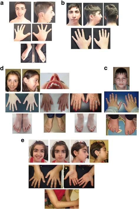 https://cdn.ncbi.nlm.nih.gov/pmc/blobs/4b89/5839060/95bae248cc89/12881_2018_548_Fig1_HTML.jpg