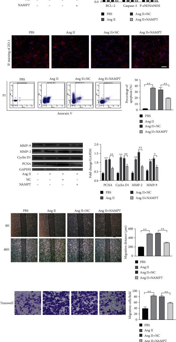 https://cdn.ncbi.nlm.nih.gov/pmc/blobs/4b89/7791967/d2e37d62a470/OMCL2020-1974265.003.jpg