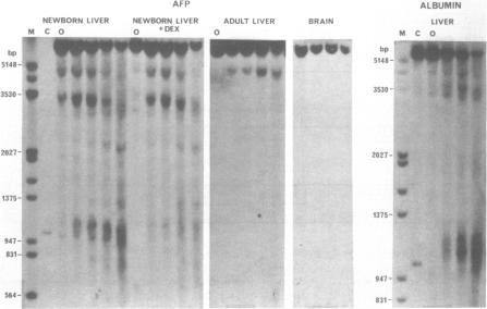 https://cdn.ncbi.nlm.nih.gov/pmc/blobs/4b8a/341338/62d752e45ebb/nar00293-0287-a.jpg