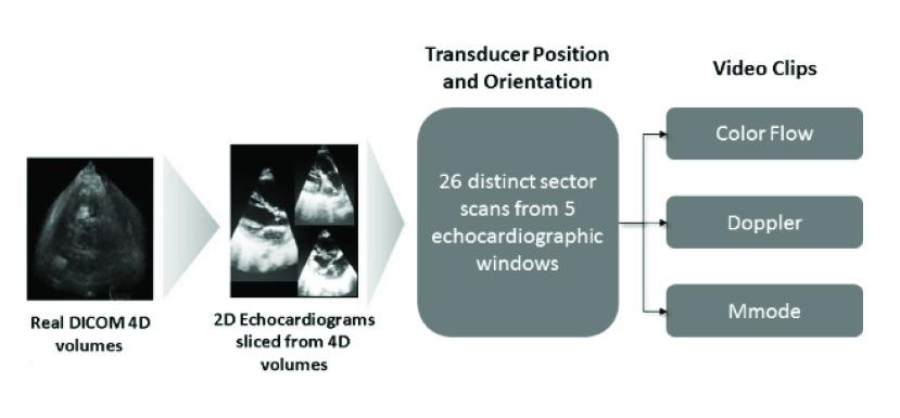 https://cdn.ncbi.nlm.nih.gov/pmc/blobs/4b8c/6242698/707ab2790cc1/siass4-2878724.jpg
