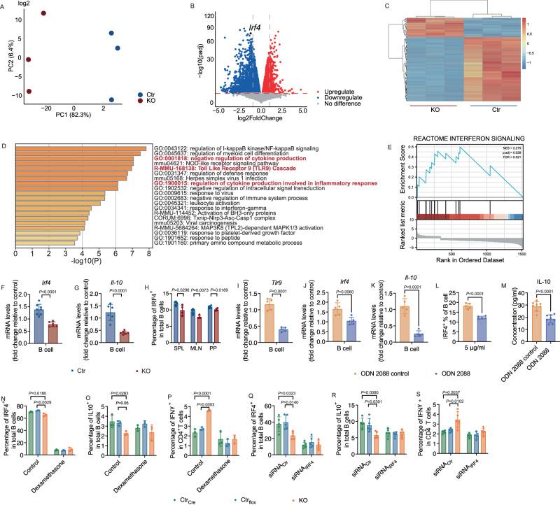 https://cdn.ncbi.nlm.nih.gov/pmc/blobs/4b8d/11102548/2ed88d0077d5/41467_2024_48611_Fig8_HTML.jpg