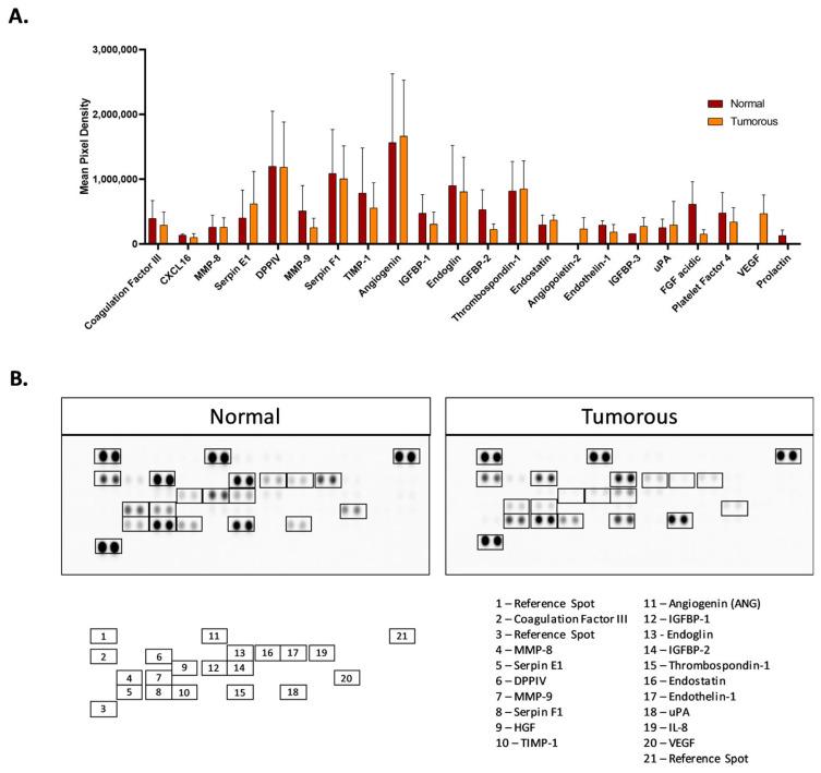 https://cdn.ncbi.nlm.nih.gov/pmc/blobs/4b8d/11274182/000ff29562d6/biomedicines-12-01441-g004.jpg