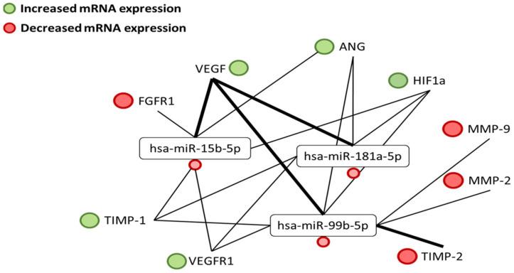https://cdn.ncbi.nlm.nih.gov/pmc/blobs/4b8d/11274182/a5f6a973682a/biomedicines-12-01441-g009.jpg