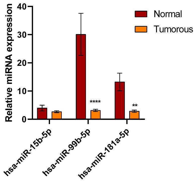 https://cdn.ncbi.nlm.nih.gov/pmc/blobs/4b8d/11274182/b07827a2da79/biomedicines-12-01441-g001.jpg
