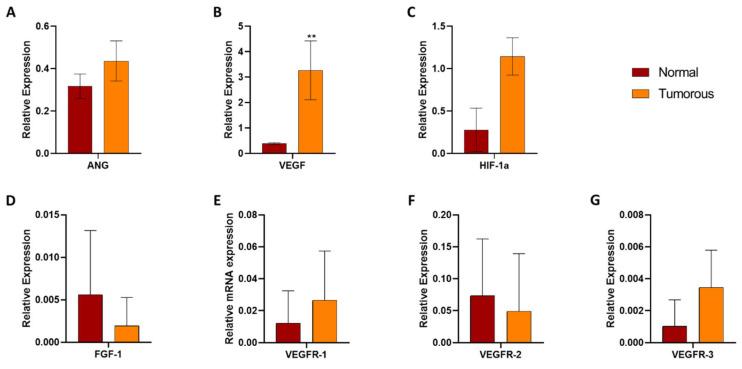https://cdn.ncbi.nlm.nih.gov/pmc/blobs/4b8d/11274182/d1037423c4a9/biomedicines-12-01441-g005.jpg