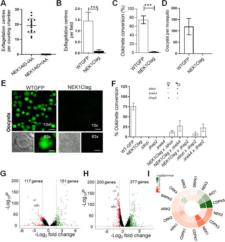 https://cdn.ncbi.nlm.nih.gov/pmc/blobs/4b8e/11414920/e70751e2edff/pbio.3002802.g005.jpg