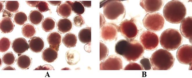 https://cdn.ncbi.nlm.nih.gov/pmc/blobs/4b8e/6861373/ba0f6628a686/fpls-10-01450-g005.jpg
