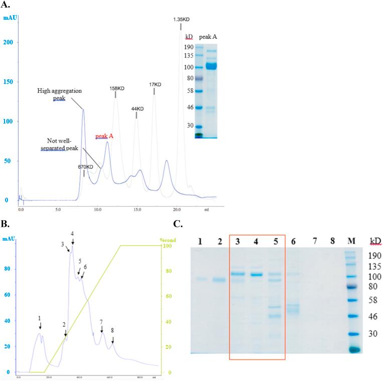 https://cdn.ncbi.nlm.nih.gov/pmc/blobs/4b8e/8207215/74c064eb0d1d/gr2.jpg