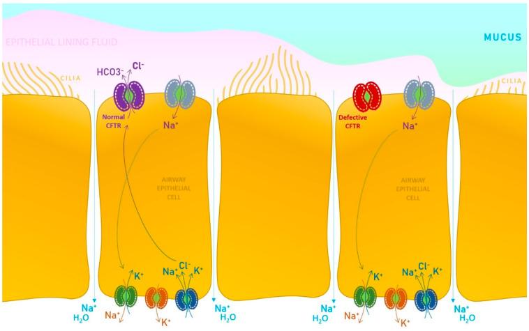https://cdn.ncbi.nlm.nih.gov/pmc/blobs/4b8f/9862205/7de206f90d78/pharmaceutics-15-00162-g001.jpg