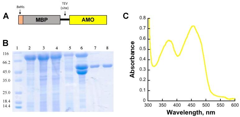 https://cdn.ncbi.nlm.nih.gov/pmc/blobs/4b91/6151521/33fa57259d8d/molecules-22-01652-g001.jpg