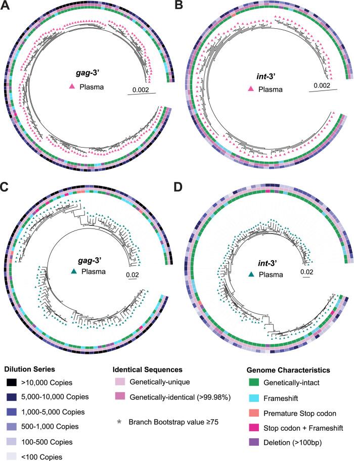https://cdn.ncbi.nlm.nih.gov/pmc/blobs/4b91/8941922/649187157616/jvi.02011-21-f002.jpg
