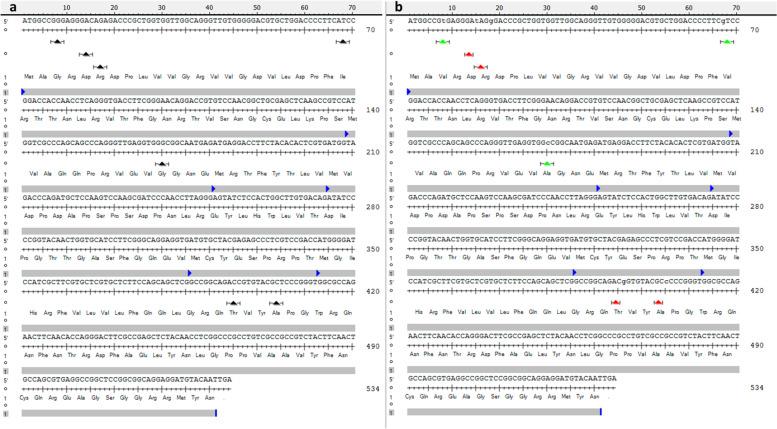 https://cdn.ncbi.nlm.nih.gov/pmc/blobs/4b92/9835304/03e1920f92db/12870_2022_3986_Fig7_HTML.jpg
