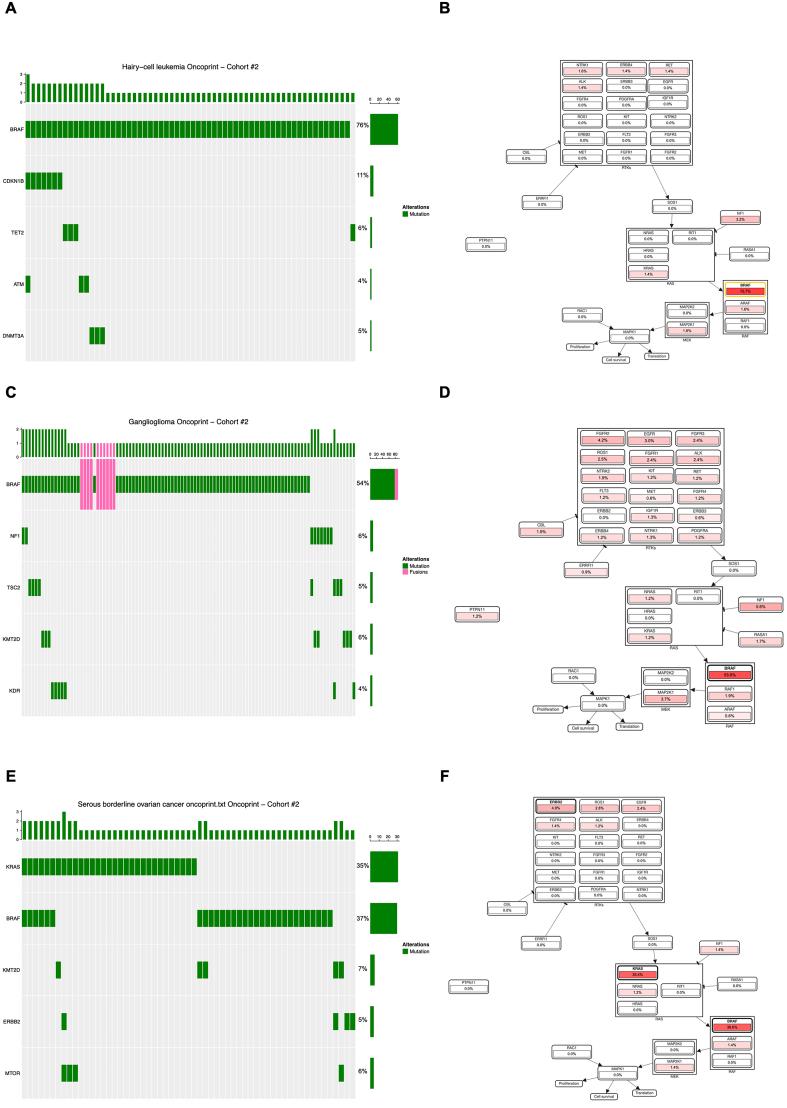 https://cdn.ncbi.nlm.nih.gov/pmc/blobs/4b94/11977354/1945fa76dc30/cdr-8-14.fig.5.jpg