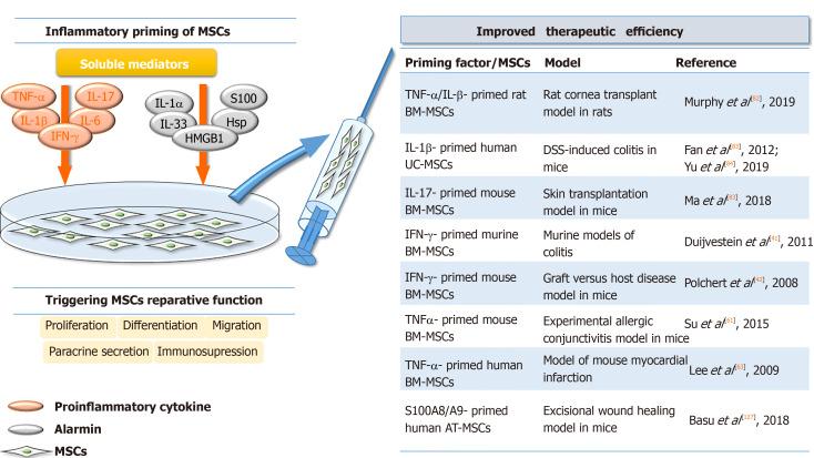https://cdn.ncbi.nlm.nih.gov/pmc/blobs/4b94/7524701/7ac0829d3378/WJSC-12-922-g002.jpg