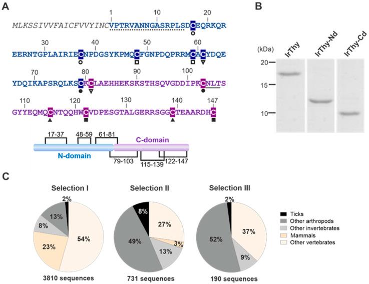 https://cdn.ncbi.nlm.nih.gov/pmc/blobs/4b98/10889554/4994b980dd7a/ijms-25-02240-g002.jpg