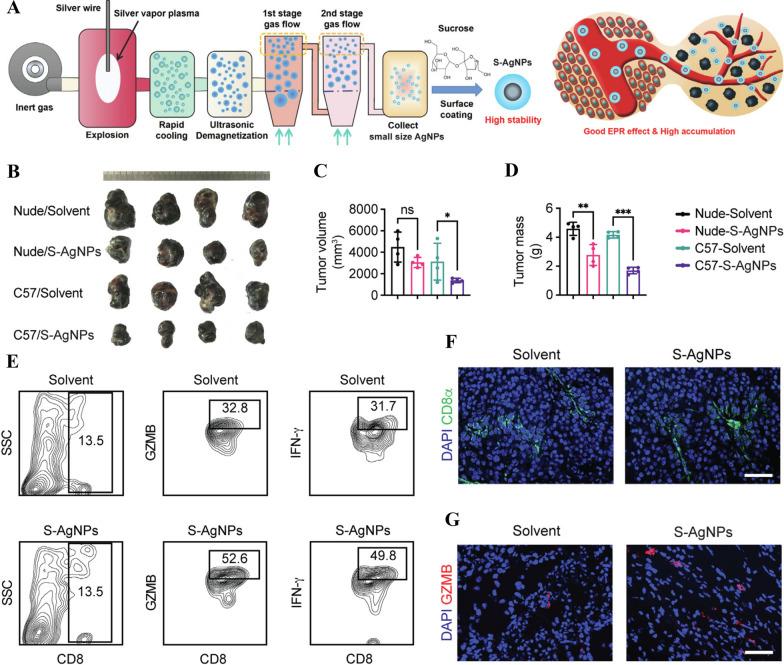 https://cdn.ncbi.nlm.nih.gov/pmc/blobs/4b99/10865557/26c2ef05185a/12951_2024_2311_Fig5_HTML.jpg