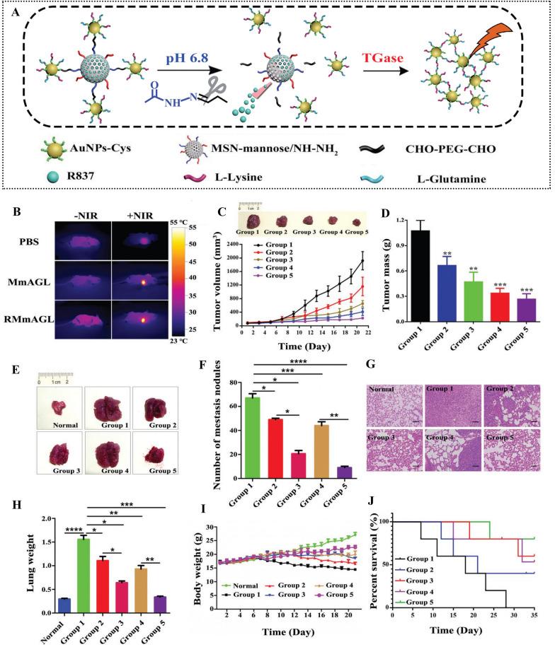 https://cdn.ncbi.nlm.nih.gov/pmc/blobs/4b99/10865557/2fe9d2e021fe/12951_2024_2311_Fig4_HTML.jpg