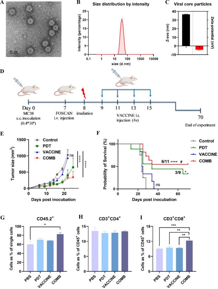 https://cdn.ncbi.nlm.nih.gov/pmc/blobs/4b99/10865557/9707336af4ce/12951_2024_2311_Fig8_HTML.jpg
