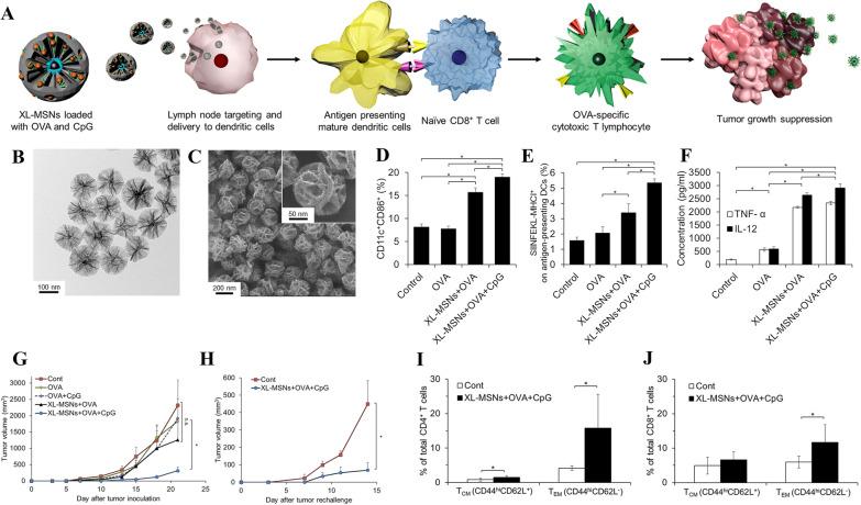 https://cdn.ncbi.nlm.nih.gov/pmc/blobs/4b99/10865557/c2a06eeff122/12951_2024_2311_Fig6_HTML.jpg