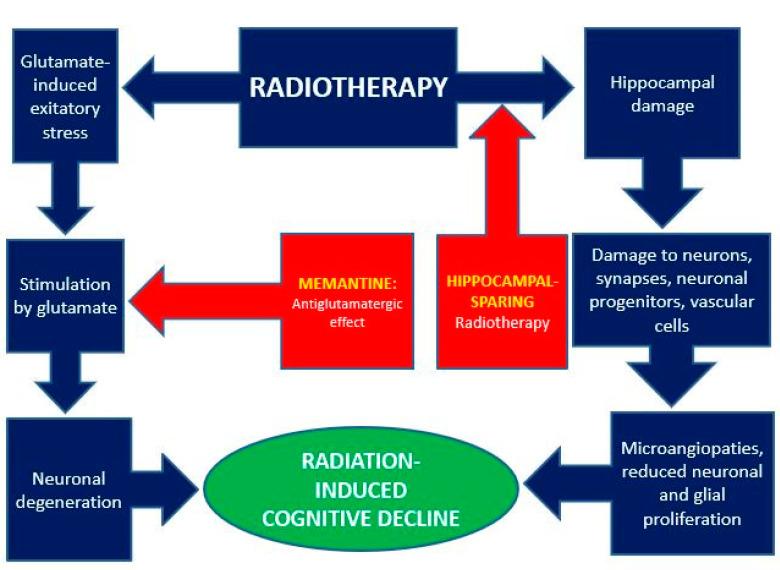 https://cdn.ncbi.nlm.nih.gov/pmc/blobs/4b9a/9179311/794c7f71e680/cancers-14-02736-g001.jpg