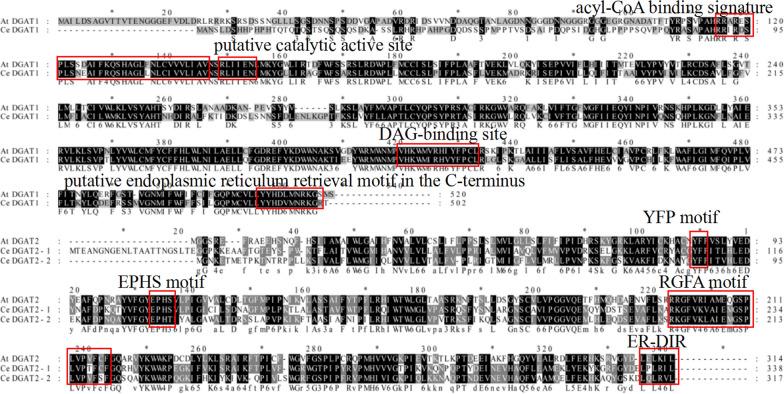 https://cdn.ncbi.nlm.nih.gov/pmc/blobs/4b9b/7986309/8c0de8840dc2/13068_2021_1928_Fig1_HTML.jpg