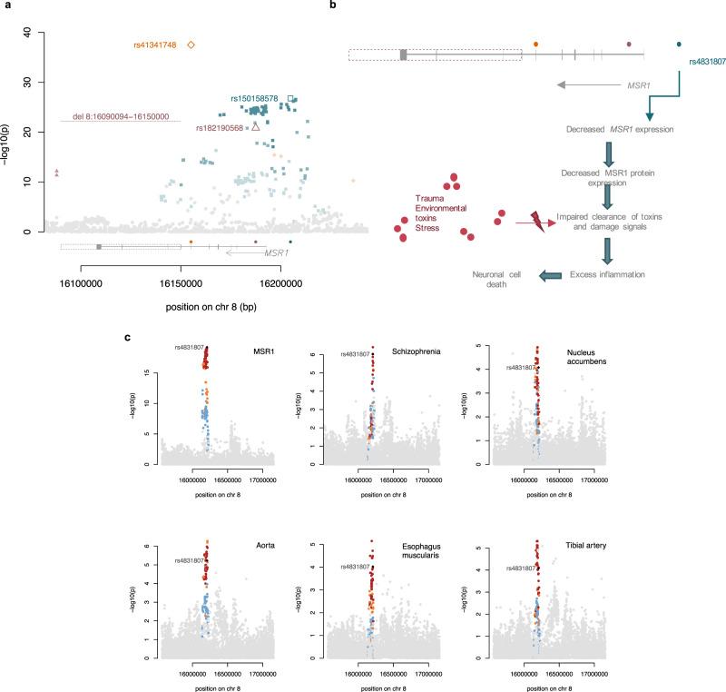 https://cdn.ncbi.nlm.nih.gov/pmc/blobs/4b9b/8640022/02cc4248a7a8/41467_2021_27387_Fig5_HTML.jpg