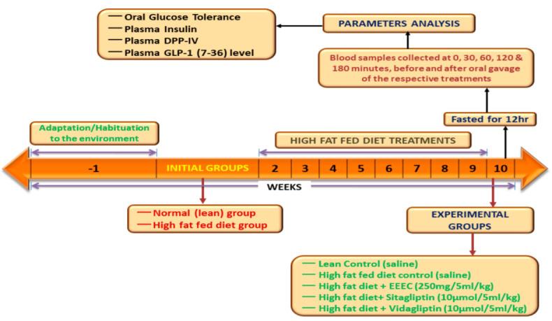 https://cdn.ncbi.nlm.nih.gov/pmc/blobs/4b9b/9414540/531d7ebc3128/metabolites-12-00757-g001.jpg
