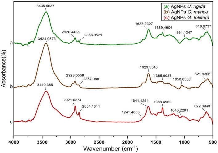 https://cdn.ncbi.nlm.nih.gov/pmc/blobs/4ba1/8844081/4b030d485534/41598_2022_6412_Fig5_HTML.jpg