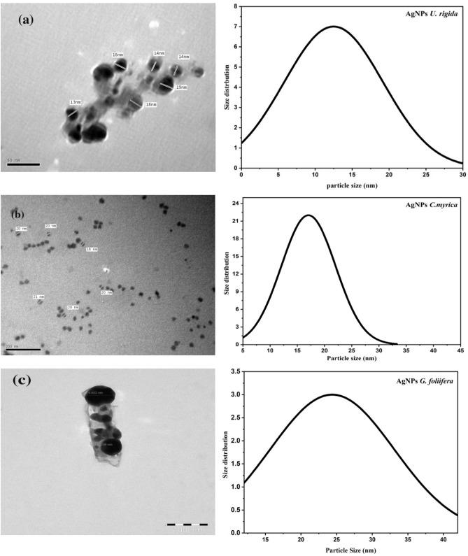 https://cdn.ncbi.nlm.nih.gov/pmc/blobs/4ba1/8844081/e7da71acdc6e/41598_2022_6412_Fig3_HTML.jpg